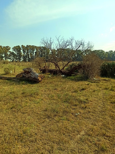 Terreno 450 M2 Con Escritura En Cañuelas!