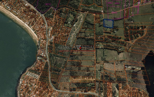 Imagen 3 de 3 de Venta De Chacra 5 Has En Punta Ballena, Maldonado