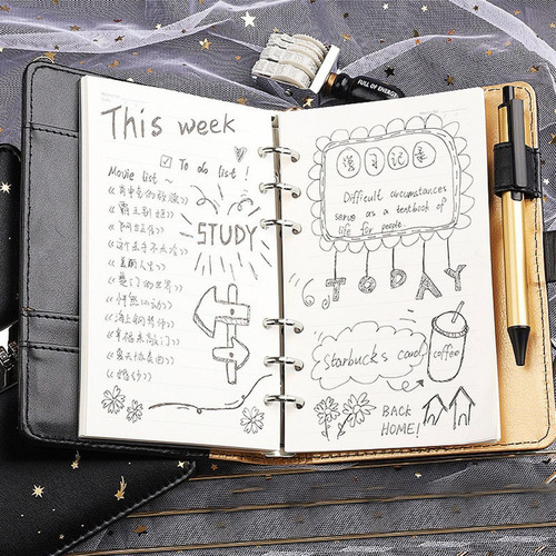 Cuaderno Estrellado, Tapa Dura, Piel, Contraseña, Diario