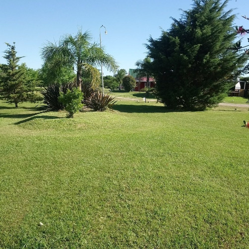 Imagen 9 de 17 de Alquiler Monoambiente En Concepcion Del Uruguay ( Alquiler Temporario)