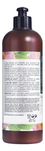 Kit Shampoo E Condicionador Vegano Com Óleo De Rosa Mosqueta
