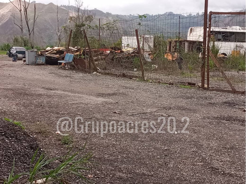 Imagen 6 de 7 de En Venta Un Gran Lote De Terreno En El Limoncito Vía Tejerías.lv