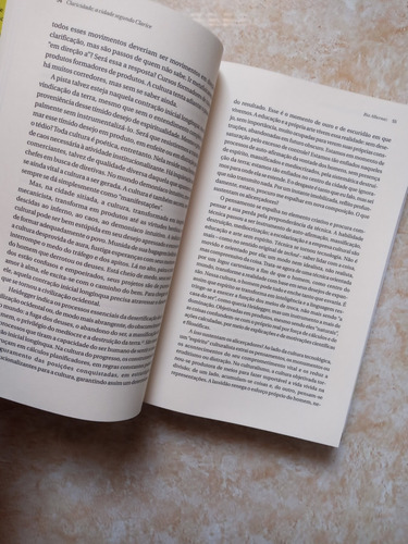 Livro - A Cidade Segundo Clarice (Usado)