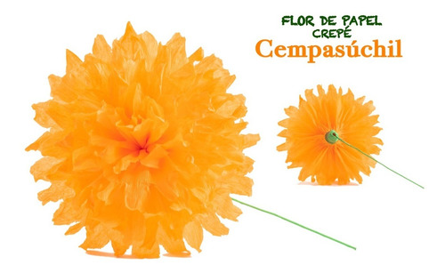 Flores De Papel Crepé Modelo Cempasúchil, Caja Con 48 Piezas | Envío gratis