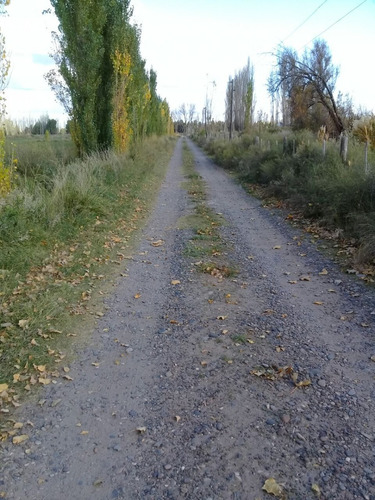 Imagen 8 de 10 de Venta O Permuta 25 Hectáres 25 De Mayo La Pampa