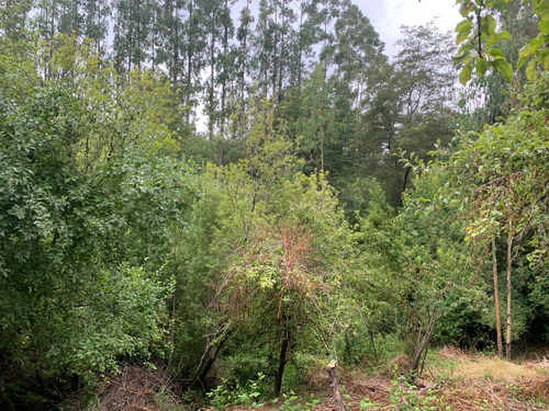 Parcela De 7.500 Mt2 En Sector Puninque