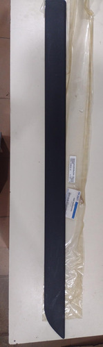 Moldura Puerta Dlantera Derecha Ford Focus 2000-2007