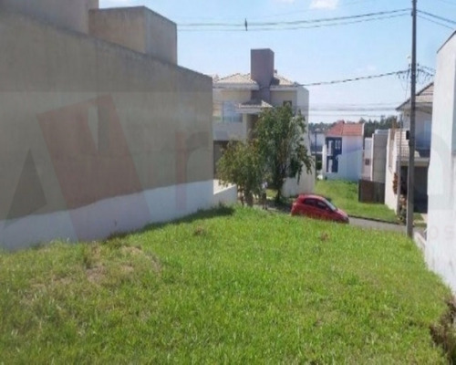 Imagem 6 de 7 de Terreno - 1479 - 32401816