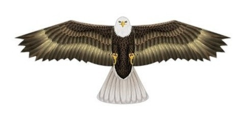 Cometa 48'' Aguila Aves De Presa X-kites De Nylon