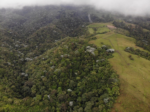 Se Vende Finca Sembrada En Bosque Nativo Filandia Quindio