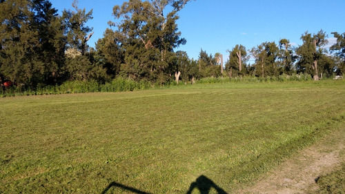 Imagen 4 de 8 de Terreno En Venta - 52 E/133 Y 135 - General Belgrano - 833 M².