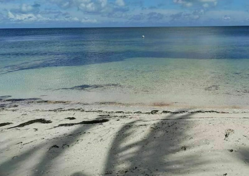Imagen 1 de 6 de Lotes De Oportunidad En Santa Clara, Yucatan | En Tercera Fi