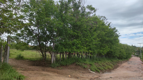 Propriedade Rural Próxima A Cidade Em Senhor Do Bonfim - Ba