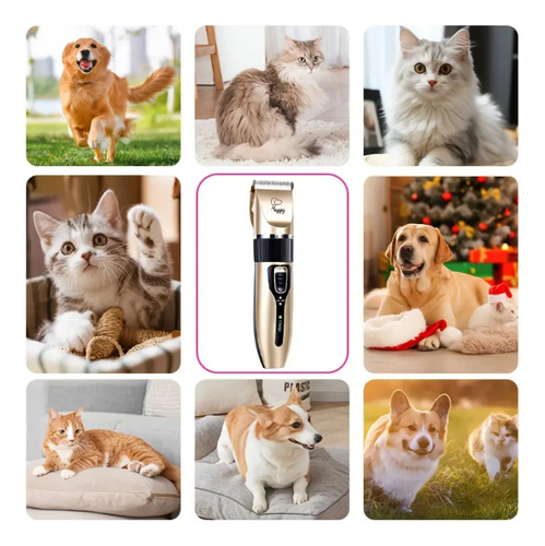 Maquina De Afeitar Perro Gato Mascota Inalámbrica Recargable