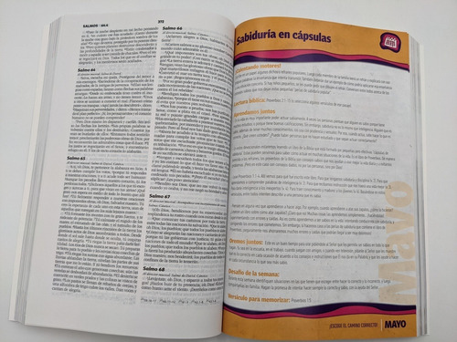 Biblia Devocional Familiar Nbv - Tapa Rustica