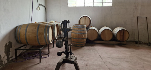 Finca, Bodega Artesanal Y Casa En San Rafael, Medoza.
