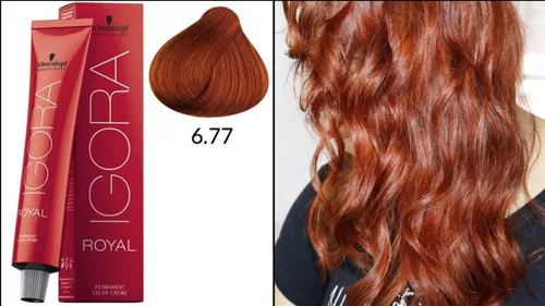 COLORAÇÃO SCHWARZKOPF IGORA ROYAL 6.77 LOURO ESCURO COBRE EXTRA - 60G