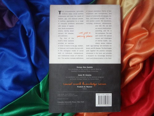 Not Just A Passing Phase Social Work With Gay Lesbian Bisexu (Usado)
