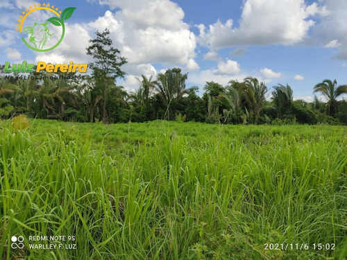Imagem 15 de 15 de Fazenda À Venda Em Dois Irmãos - To - 561,44 Hectares (pecuária) - 2084