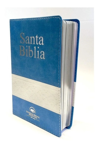 Biblia Reina Valera 1960 Arg. Celeste Blanca Canto Plateado 