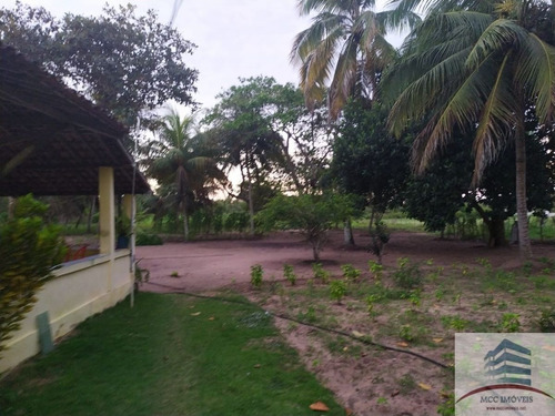 Imagem 1 de 5 de Granja A Venda Em Nísia Floresta