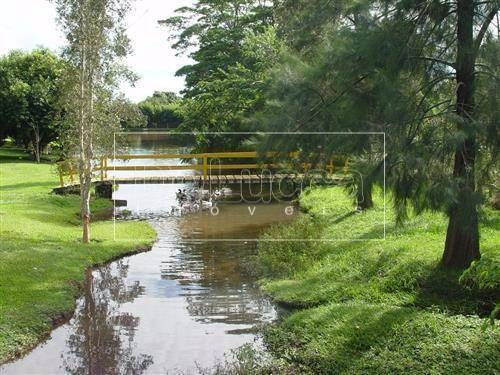 Imagem 7 de 8 de Terreno À Venda Em Parque Luciamar - Te007480