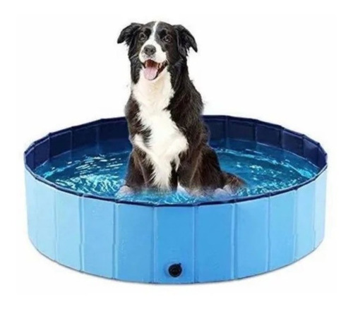 Piscina Plegable Para Mascota Perros Grande