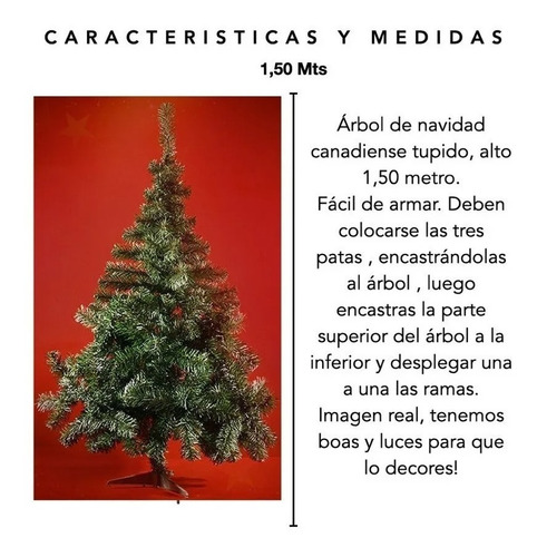 Imagen 4 de 9 de Arbol Navidad Canadiense Tupido 1,50 Cm Arbolito Navideño