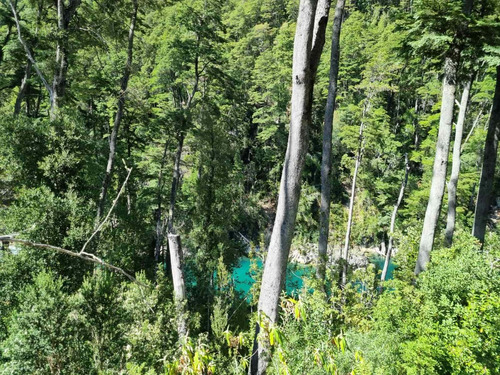 Lindo Terreno De 2 Has Con Orilla De Río Puelo