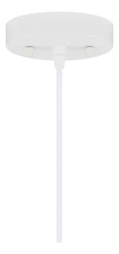 Lampara De Techo Colgante De Ratan 1 Luz Negro Mate Estructura Beige