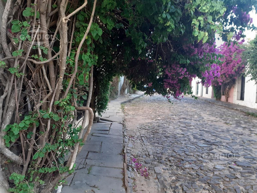 Imagen 16 de 19 de Venta Casa En Barrio Histórico Colonia Del Sacramento