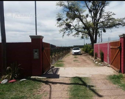 Imagen 4 de 30 de Cabañas En Mendoza - Salto De Las Rosas