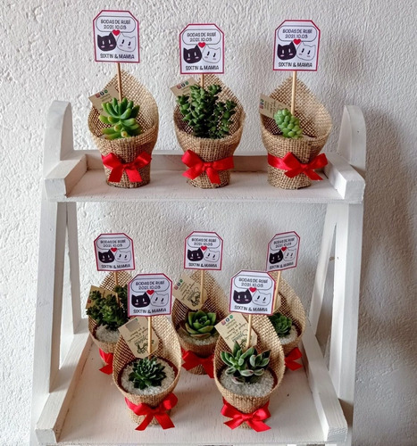 Imagen 2 de 6 de Recuerdos De Yute Con Plantitas - Cactus Y Suculentas