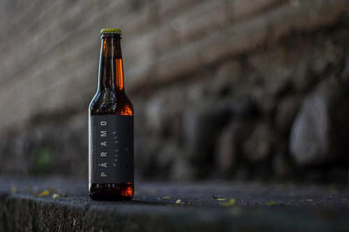 Cerveza Artesanal Paramo Pale Ale 355ml