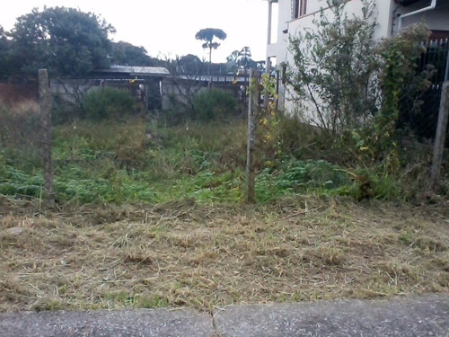 Imagem 2 de 2 de Terreno - Kayser - Ref: 6465 - V-6465