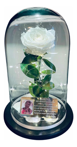 Rosa Eterna Con Placa Personalizada Y Fotograbado 30x25cm