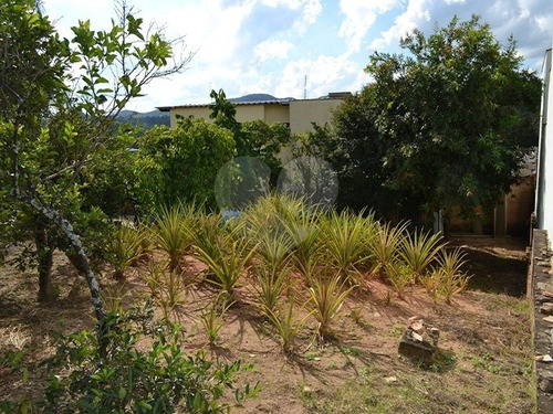 Imagem 4 de 15 de Terreno Residencial À Venda, Castelo, Amparo. - Reo328964