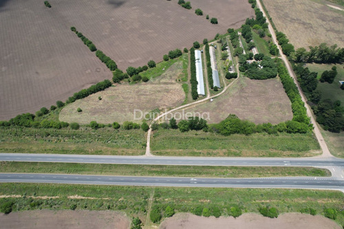 Terreno Campo En Venta - General Rodriguez - G.b.a. Zona Oeste