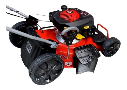 Imagen 2 de 4 de Cortacesped A Nafta Ducati Dlm5300 Con Tracción
