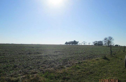 Imagen 3 de 14 de Campo En Venta En Concepcion Del Uruguay