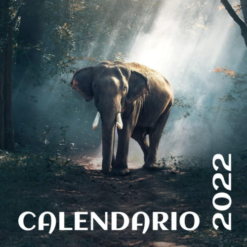 Libro: Calendario De Pared 2022 - Animales Salvajes: Calenda