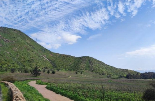 M64218 - Venta Terreno Viñas De Buin Sin Comision - 10 Ha