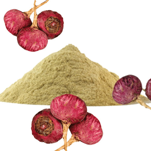 Maca Roja Extracto Atomizado Polvo 1 Kg.