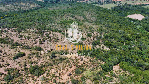 Fazenda Com 685 Hectares À Venda Em Jequitiba / Cordisburgo