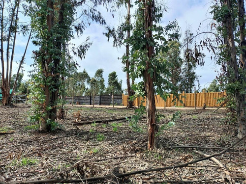 Imagen 6 de 9 de Maitencillo, Sitio En Condominio Con Excelente Plusvalía