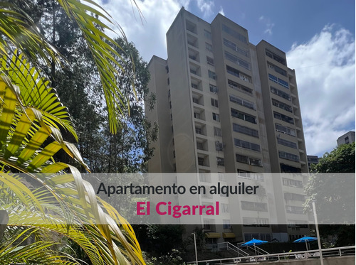 Apartamento En Alquiler En El Cigarral