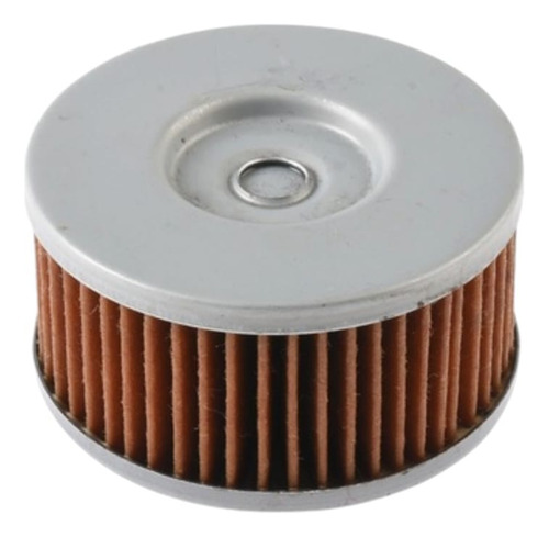 Filtro Aceite Vortx 250 Blackbird Italika Original E09020043