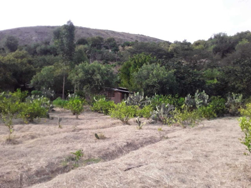 Imagen 7 de 8 de Vendo Hermosa Finca Vacacional