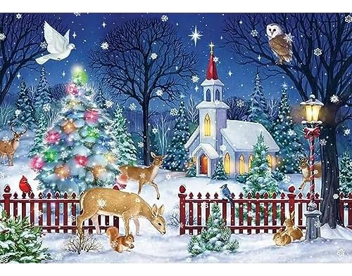 Christmas Diamond Painting Kits For Adults Beginners, W...