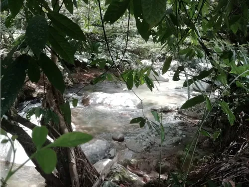 Venta Finca En Yolombo Via Gomez Plata